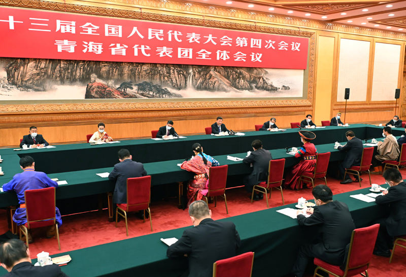 3月7日，中共中央总书记、国家主席、中央军委主席习近平参加十三届全国人大四次会议青海代表团的审议。新华社记者 李涛 摄
